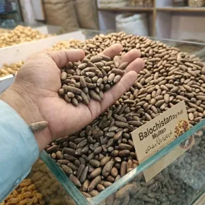 PINE NUTS A GRADE (CHILGOZA WAZIRISTAN)