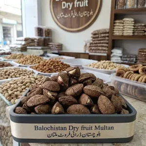 BRAZIL NUTS (BRAZILIAN NUTS)