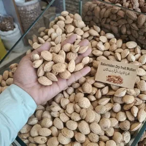 ALMONDS PATASA WITH SHELL (PATASA BADAM)