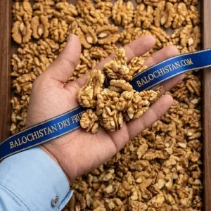 WALNUT KERNELS KASHMIRI B GRADE (KASHMIRI AKHROT GIRI)