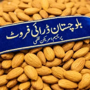 ALMOND KERNELS SONEHRI (SONEHRI BADAM GIRI)