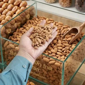 ALMOND KERNELS AMERICAN B GRADE (AMERICAN BADAM GIRI)