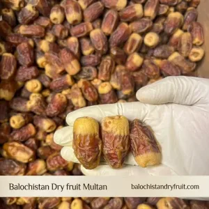 DATES SUGAI (SUGAI KHAJOOR)