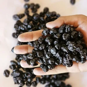 Dried Blueberry